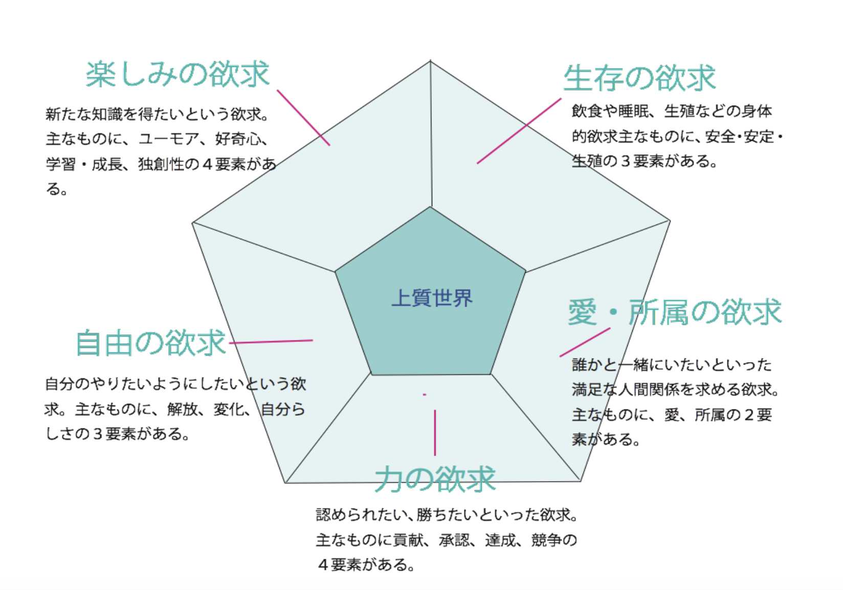 5つの基本的欲求 レーダーチャート
